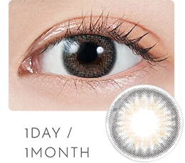 1DAY/1MONTH DIA14.2mm 着色直径13.0mm
