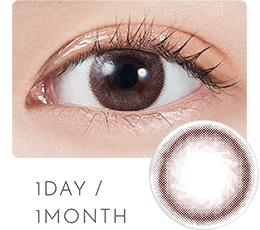 1DAY/1MONTH DIA14.2mm 着色直径13.3mm