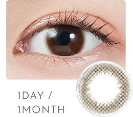 1DAY/1MONTH DIA14.2mm 着色直径13.3mm