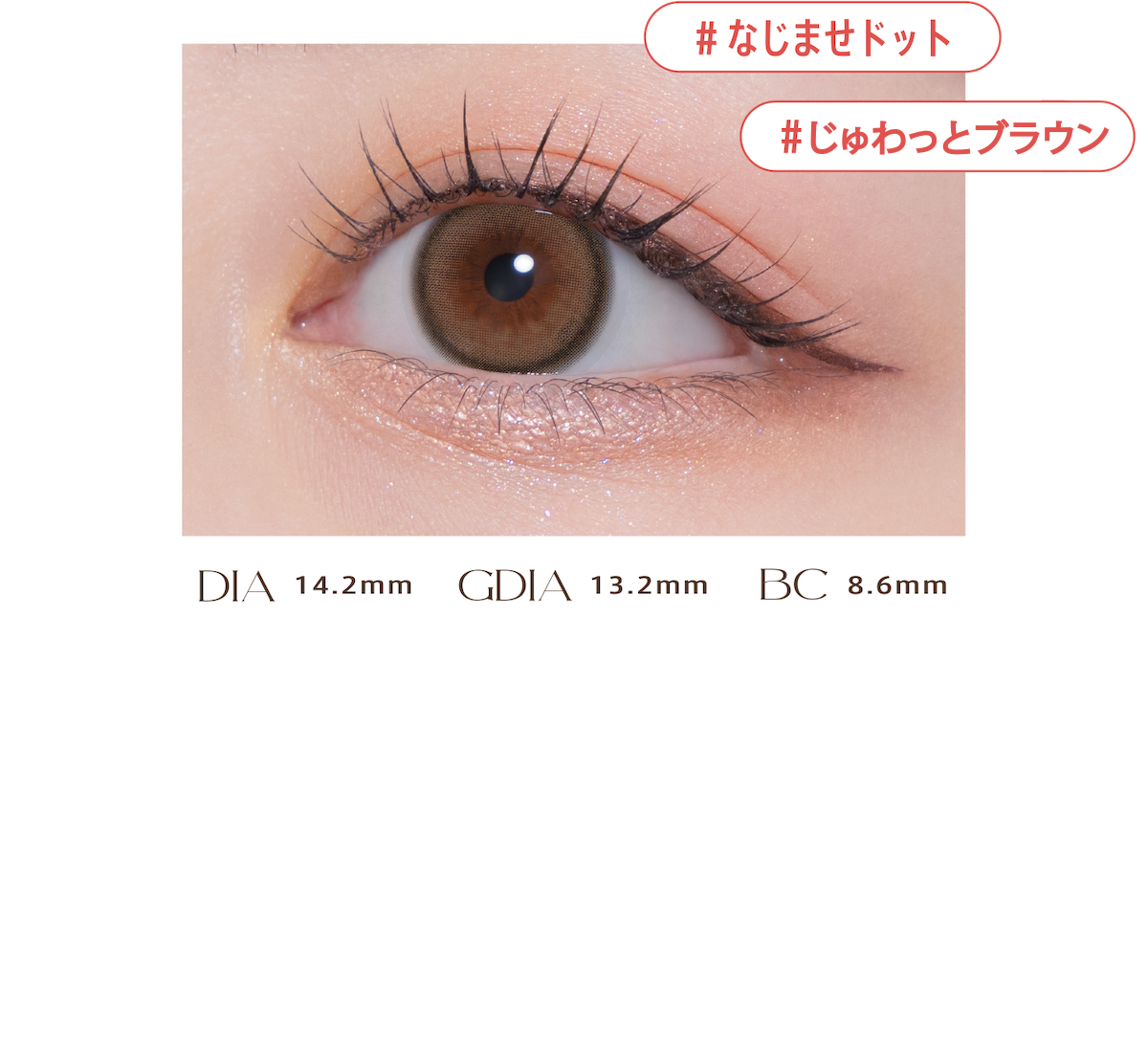 #なじませドット|#にじみブラウン|DIA 14.2mm|GDIA 13.2mm|BC 8.6mm