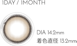 1DAY DIA14.2mm 着色直径13.2mm