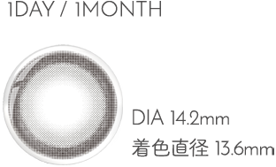 1DAY DIA14.2mm 着色直径13.6mm