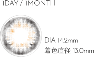 1DAY/1MONTH DIA14.2mm 着色直径13.0mm