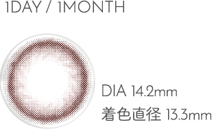 1DAY/1MONTH DIA14.2mm 着色直径13.3mm