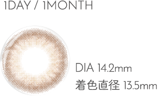 1DAY/1MONTH DIA14.2mm 着色直径13.5mm