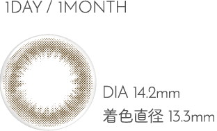 1DAY/1MONTH DIA14.2mm 着色直径13.3mm