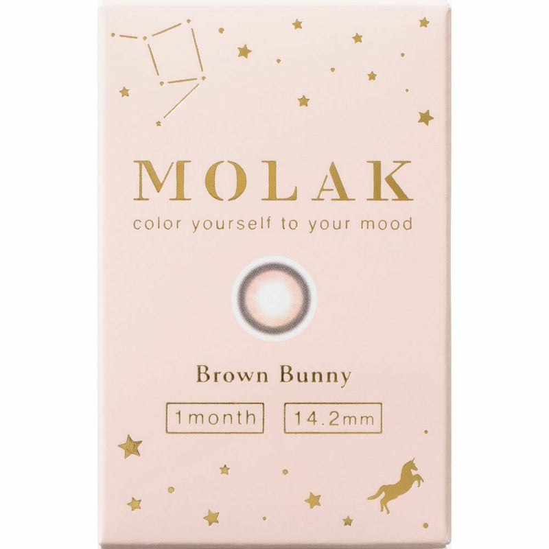 BROWN BUNNY